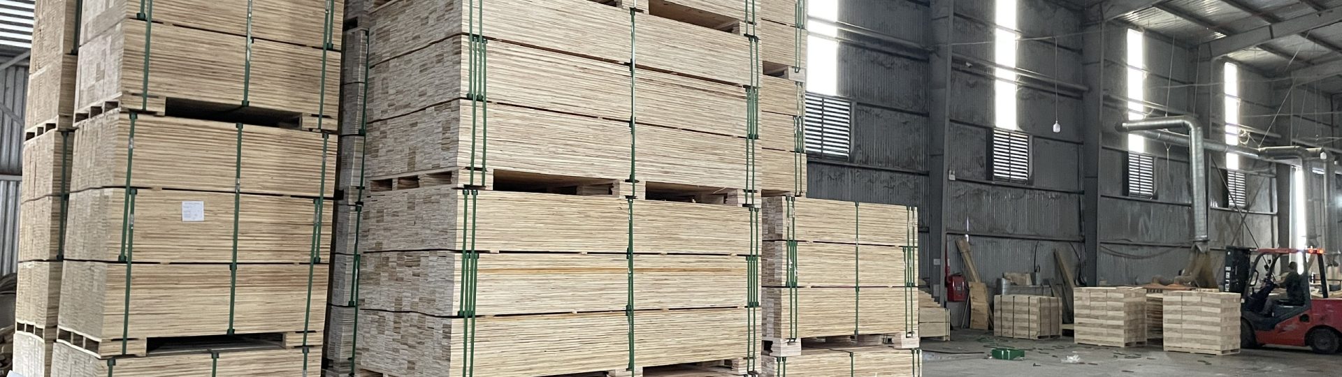 LVL for Malaysian Market